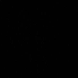 Meet your Posher, Sophia